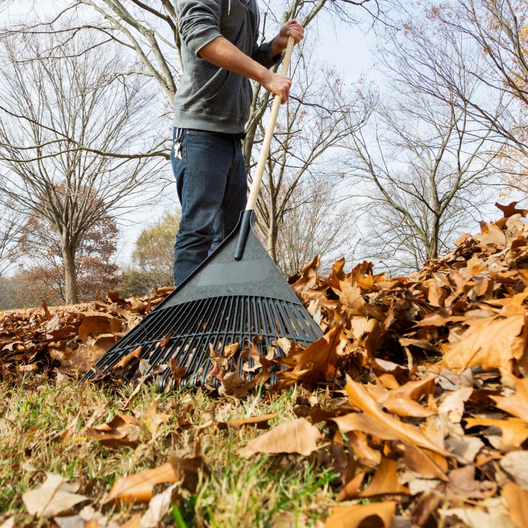 Fresh Start Home Services